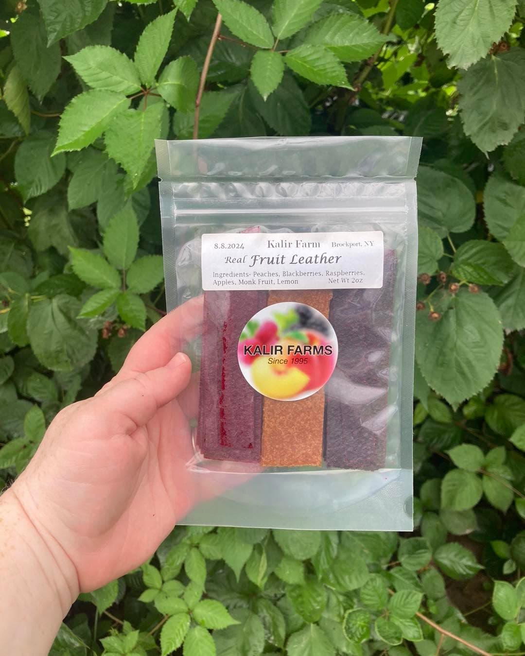 Natural fruit leather strips from Kalir Farm Market